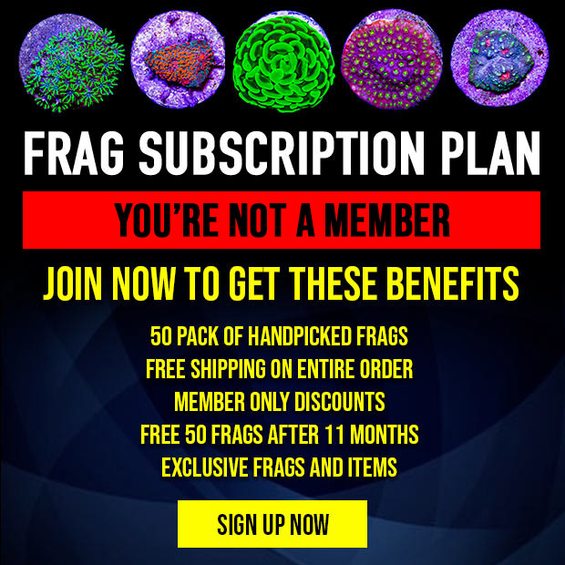Frag Subscription Plan